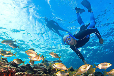 Snorkeling-e-piccola-apnea-in-Mediterraneo